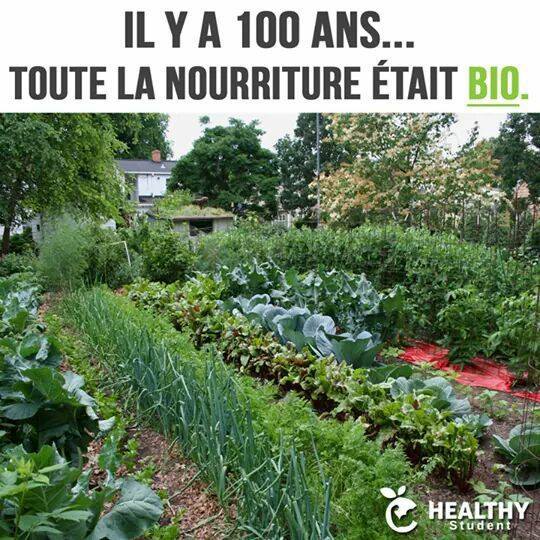 Alimentation saine : il y a 100 ans, toute la nourriture était bio