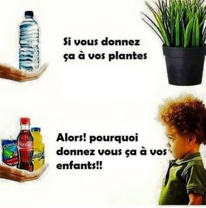 Boire de l'eau est essentiel à une alimentation saine